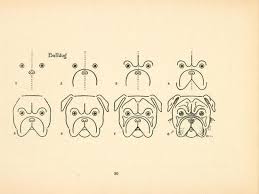 How To Draw An English Bulldog Bulldog Drawing Bulldog Art Drawings