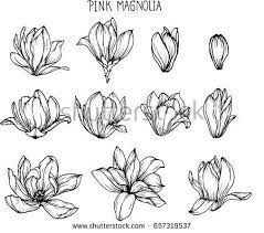 10 Ways To Relieve Stress Pink Magnolia Flowers Drawing And Sketch With Line Art On White Backgrounds Th Flower Line Drawings Flower Drawing Flower Sketches