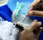 Bird's Nest Cleaning Process