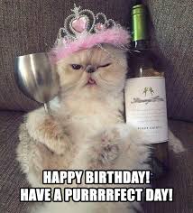 Happy birthday adamwe & lazarou! 35 Cat Birthday Memes That Are Way Too Adorable Sayingimages Com