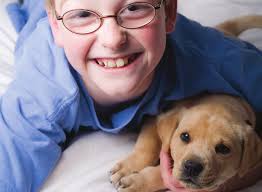 The Paradox of Giftedness and Autism