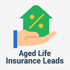Aged Life Insurance Leads – PHPInboxMailer.Com