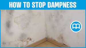 Check spelling or type a new query. Damp Proof Paint Bathrooms Damp Basement Cures And Prevents Dampness Youtube