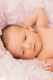 Colleen Bal Photography