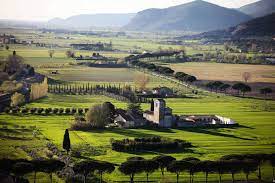 This lively and pungent olive oil is for people who like bold flavors. Vicopisano Visit Tuscany