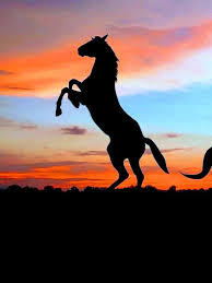 Pin By Graham Carpenter On Horses Mustang Horse Horse Rearing Unicorn Painting