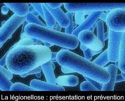 Le diagnostic de légionellose doit être associé à la recherche de. La Legionellose Presentation Et Prevention
