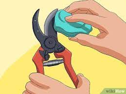 Set your sharpener on a table or on your workbench. How To Clean Your Rusty Garden Tools 14 Steps With Pictures