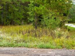 Find best mobile & manufactured homes for sale in bartow, fl at realtor.com®. Unrestricted Land Mobile Homes Ok Land For Sale By Owner In Adairsville Bartow County Georgia 216330 Landflip