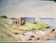 Botany & Landscape for Nature Drawing/Journaling