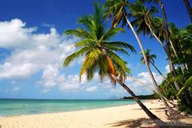 Voir plus d'idées sur le thème soleil, l'heure, oiseaux. Vite L Ete Le Soleil Et La Plage Home Facebook