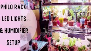 Maybe you would like to learn more about one of these? Philodendron Indoor Plant Rack Led Grow Lights Plant Humidifier Setup Youtube