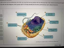 Check spelling or type a new query. Mastering Biology Chapter 4 Flashcards Quizlet