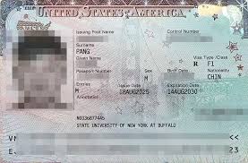 美国留学签证拒签再签成功案例，上海的P同学，赴美读本科，留学 ...