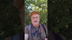 Image result for Bridelia mollis