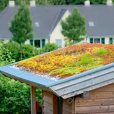 Groen Dak Tuinhuis Groendaktotaal In 2020 Groendak Groene Daken Tuinhuis