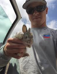 Great Dane puppies!!