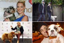 Or you can even look at the names of famous dogs! Taylor Swift S Cat Olivia Benson And More Celebrity Pets With Famous Names