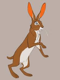 Rabbit Character Design Warrior Cats Art Animal Drawings