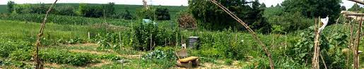 Der pächter erhält vom verpächter die erlaubnis, den ertrag der fläche zum eigenwohl gewinnbringend zu vermarkten. Kleingarten Stuttgart Muhlhausen Dein Beet Schrebergarten Stuttgart