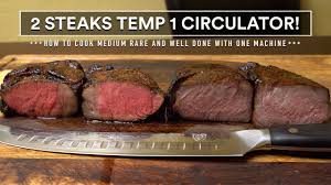 2 Steaks Temp 1 Circulator Well Done And Medium Rare In 1 Sous Vide Machine