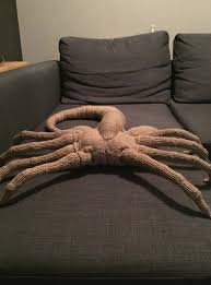 We did not find results for: Life Size Knit Alien Facehugger