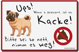 Pin Auf Vorgarten
