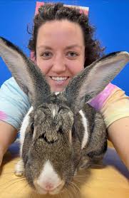 This is Lori and I've taken over the Dolly's Facebook page today for this  special announcement! You know her, you all love her and today's her  birthday!! Happy Birthday to Dolly's Director