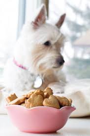 Peanut Butter Honey Homemade Dog Treats Do You Have A Dog With A Sensitive Stomach These Homemade Homemade Dog Treats Dog Treat Recipes Peanut Butter Honey