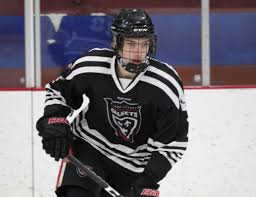 Meaghan roy spoke with gm mike oke and lardis to get their reaction. Get To Know 2021 Ohl Draft Prospect Luke Mcnamara The Hockey News On Sports Illustrated