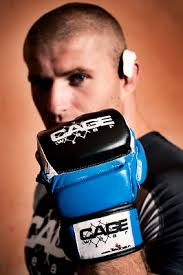 Takedown.pl Takedown