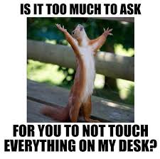 Is It Too Much To Ask For You To Not Touch Everything On My Desk Every Year There S Always That One S Best Memes Funny Animal Memes Memes En Espanol