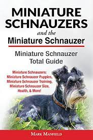 Scroll down to see when my litters are due. Miniature Schnauzers And The Miniature Schnauzer Miniature Schnauzer Total Guide Miniature Schnauzers Miniature Schnauzer Puppies Miniature Schnauzer Size Health M English Edition Ebook Manfield Mark Amazon De Kindle Shop