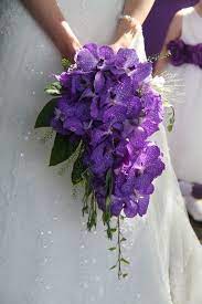 The thick padded handle is. Beautiful Vanda Orchid Wedding Bouquet Weddingbouquets Orchids Orchid Bouquet Wedding Purple Orchid Bouquet Purple Wedding Bouquets