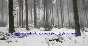 Visitez Le Haut Folin L Le Point Culminant De La Bourgogne Ou Des Activites De Neige Peuvent Vous Attendre Pour Petits Location Ski Bourgogne Saone Et Loire