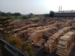 Sampoerna is the largest indonesian tobacco company, ahead of gudang garam, djarum, and bentoel group. Perusahaan Kami Sampoerna Kayoe