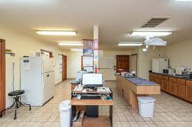 Country house (foaled may 8, 2016) is an american thoroughbred racehorse who won the 2019 kentucky derby after the disqualification of maximum security. Online Animal Hospital Tour Elwood Animal Hospital