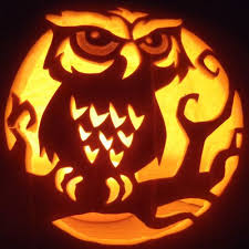 Kürbis gesichter vorlagen und tipps zur längeren haltbarkeit! Happy Halloween 5 Amazing Pumpkin Carvings Eule Kurbis Schnitzen Halloween Kurbis Vorlagen Halloween Kurbis Schnitzen