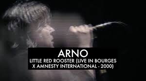 Les yeux de ma mère. Arno A 70 Ans Sa Carriere En 70 Titres Musique Focusvif