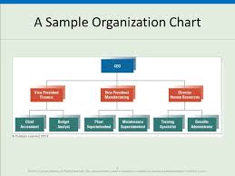 Fundamentals Of Organization Structure Ppt Video Online
