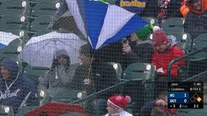Mereka menetap di bawah satu kondo yang sama. Fan Struggles With Umbrella 04 03 2018 St Louis Cardinals