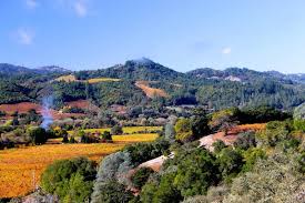Great Wine Tasty Olive Oil And Red Tractors Make Up Local Geyserville Winery Trattore Farms Have A Listen Trat Dry Creek Valley Cote Du Rhone Dry Creek