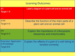 In the title animal cell parts and functions, the word part pertains to organelles; Learning Objective Describe The Structure Of Animal And Plant Cells Ppt Download