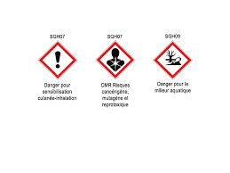 2 pictogrammes de dangers pour la santé. Pictogrammes De Danger Sgh Etiquettes Pictogrammes Danger