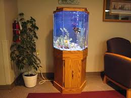 30 Gallon Hexagon Aquarium Hood Hexagon Fish Tank Fish Tank Stand 30 Gallon Fish Tank