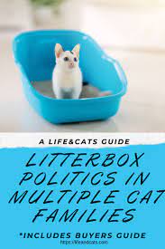 Best Litter Box Solutions For Multiple Cats Life Cats Cat Training Introducing A New Cat Cat Care