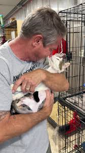 94.2K hearts, 6.11K | Chloe Parker (@bunnybunny924)