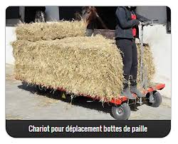 Définition, synonymes, citations, traduction dans le dictionnaire de la langue française. Chariot Pour Deplacement Bottes De Paille Devis Sur Techni Contact Chariot Electrique Equestre