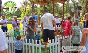 Petting zoo party near me. How To Arrange A Petting Zoo For Parties C S W D