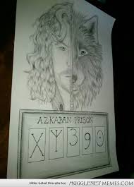 The ancient greeks thought that sirius's emanations could affect dogs adversely, making them behave abnormally during the dog days, the hottest days of the the name of the character sirius black from the harry potter stories, who has a unique ability to transform into a black dog, might have been. Pin By Grete Mjolsnes On Celebrating Nerddom Harry Potter Sirius Black Dog Harry Potter Tattoos Harry Potter Sirius